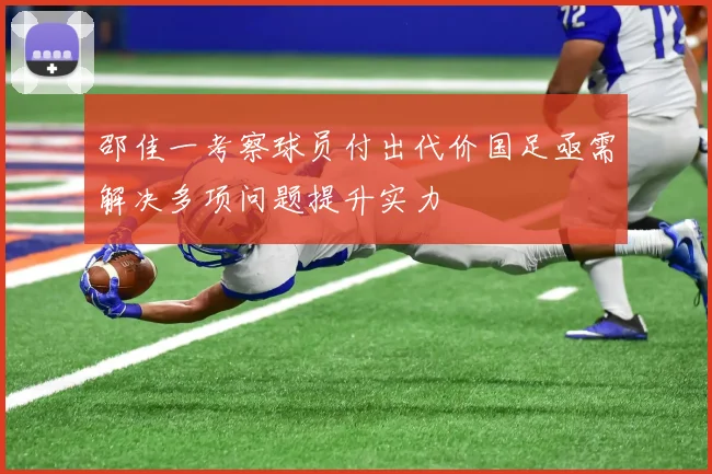 邵佳一考察球员付出代价国足亟需解决多项问题提升实力